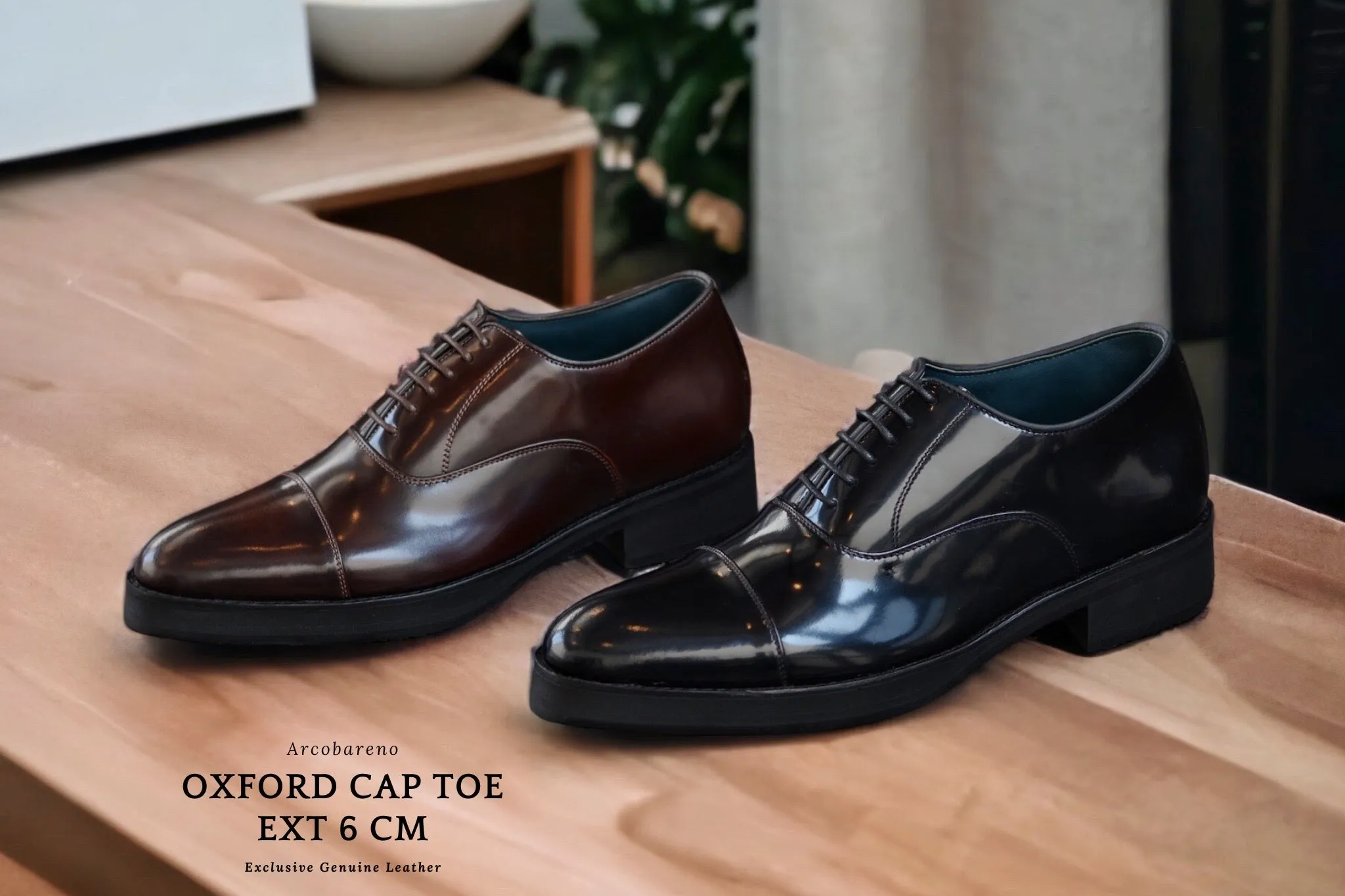 Oxford Cap Toe Piano Black Ext 6cm 502-1