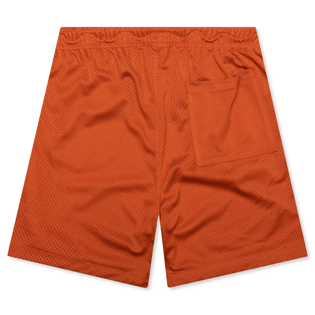 Jordan Flight Artist Series Mesh Shorts Light Sienna Phantom