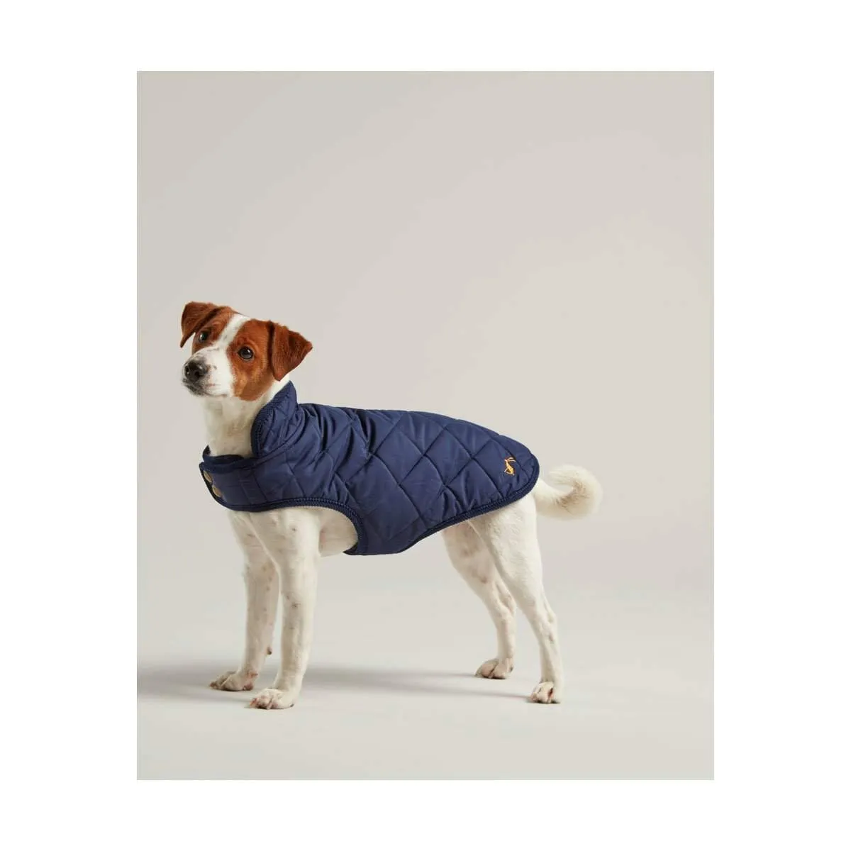 Joules Dog Coat | Elite Saddlery