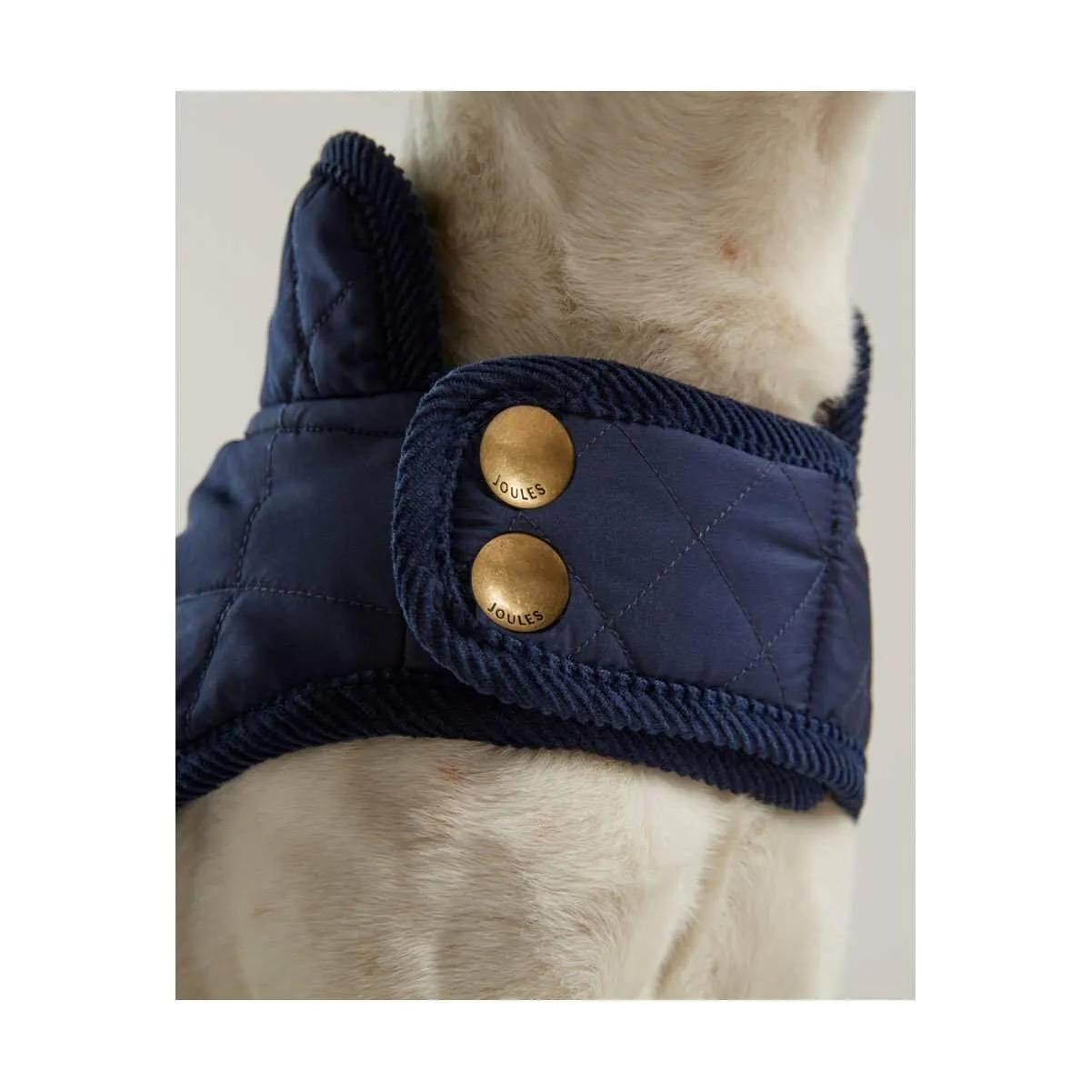 Joules Dog Coat | Elite Saddlery