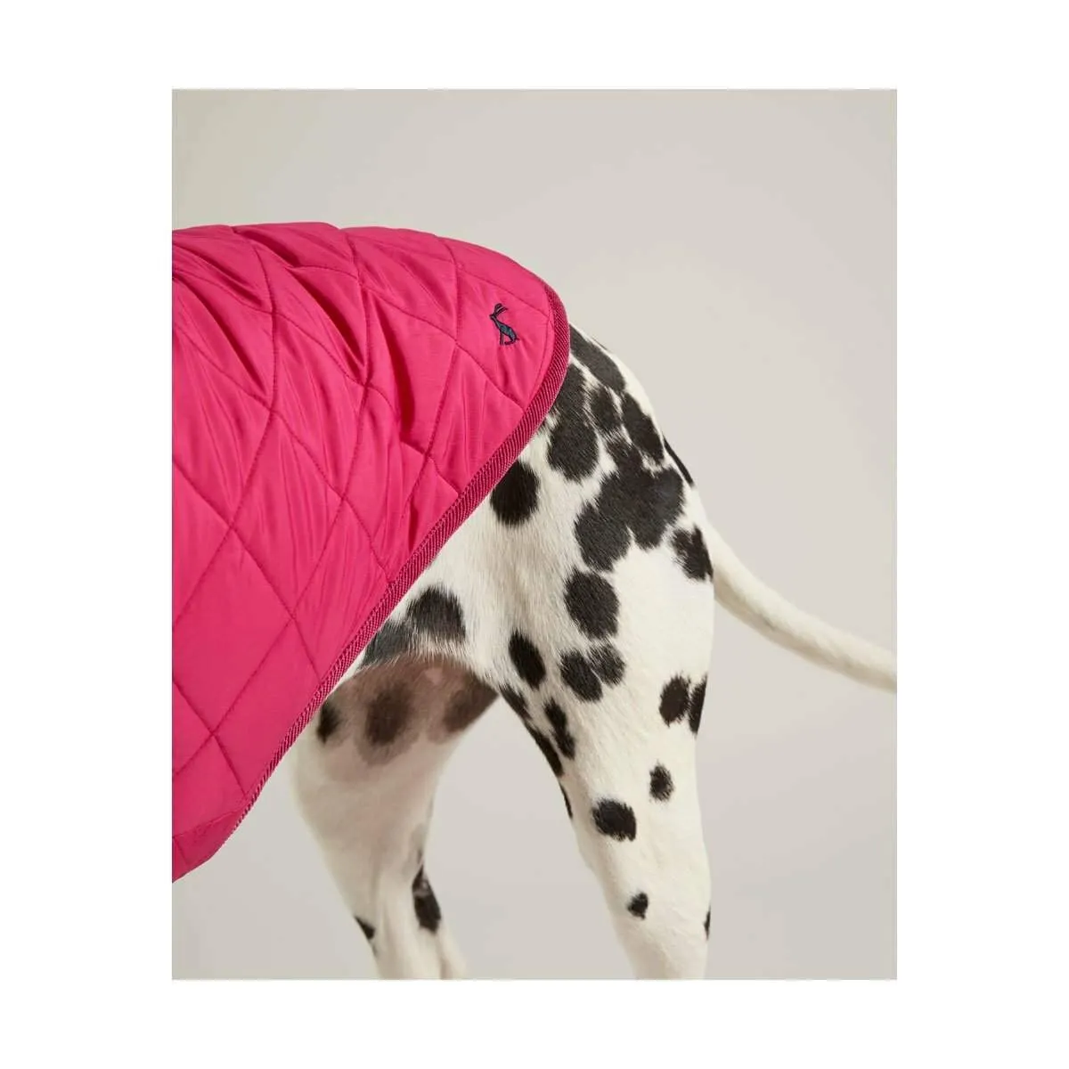 Joules Dog Coat | Elite Saddlery