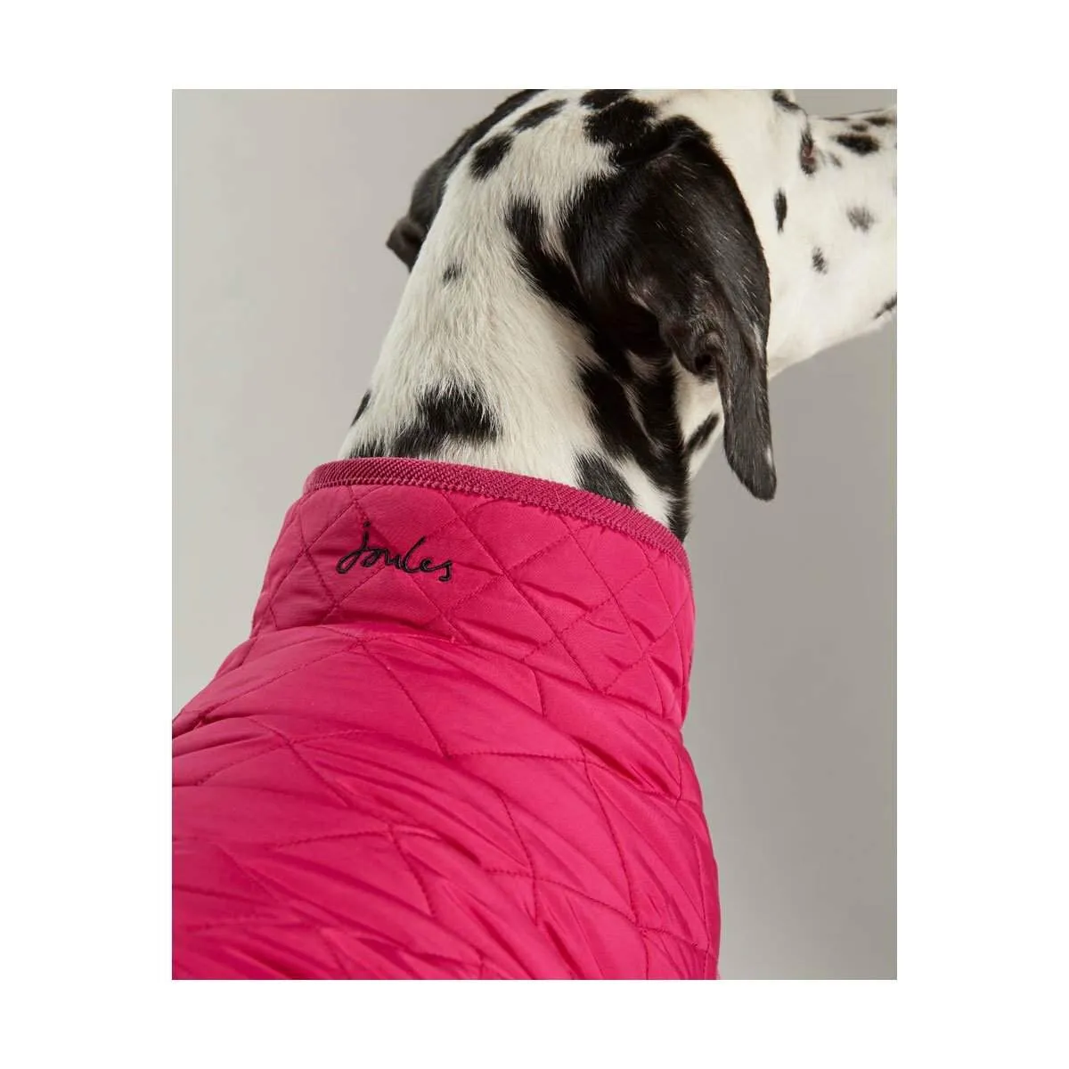 Joules Dog Coat | Elite Saddlery