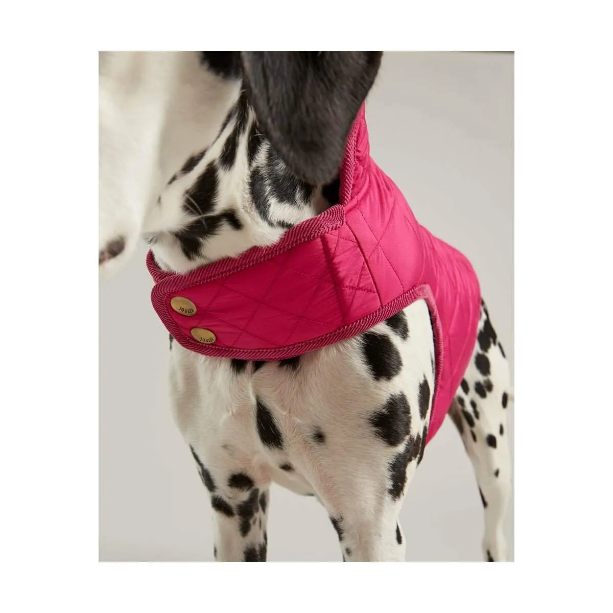 Joules Dog Coat | Elite Saddlery