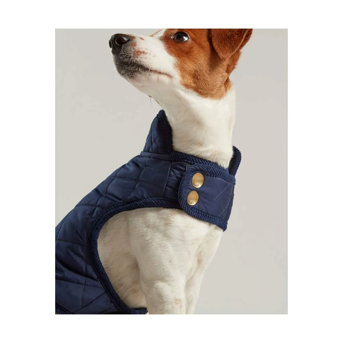 Joules Dog Coat | Elite Saddlery