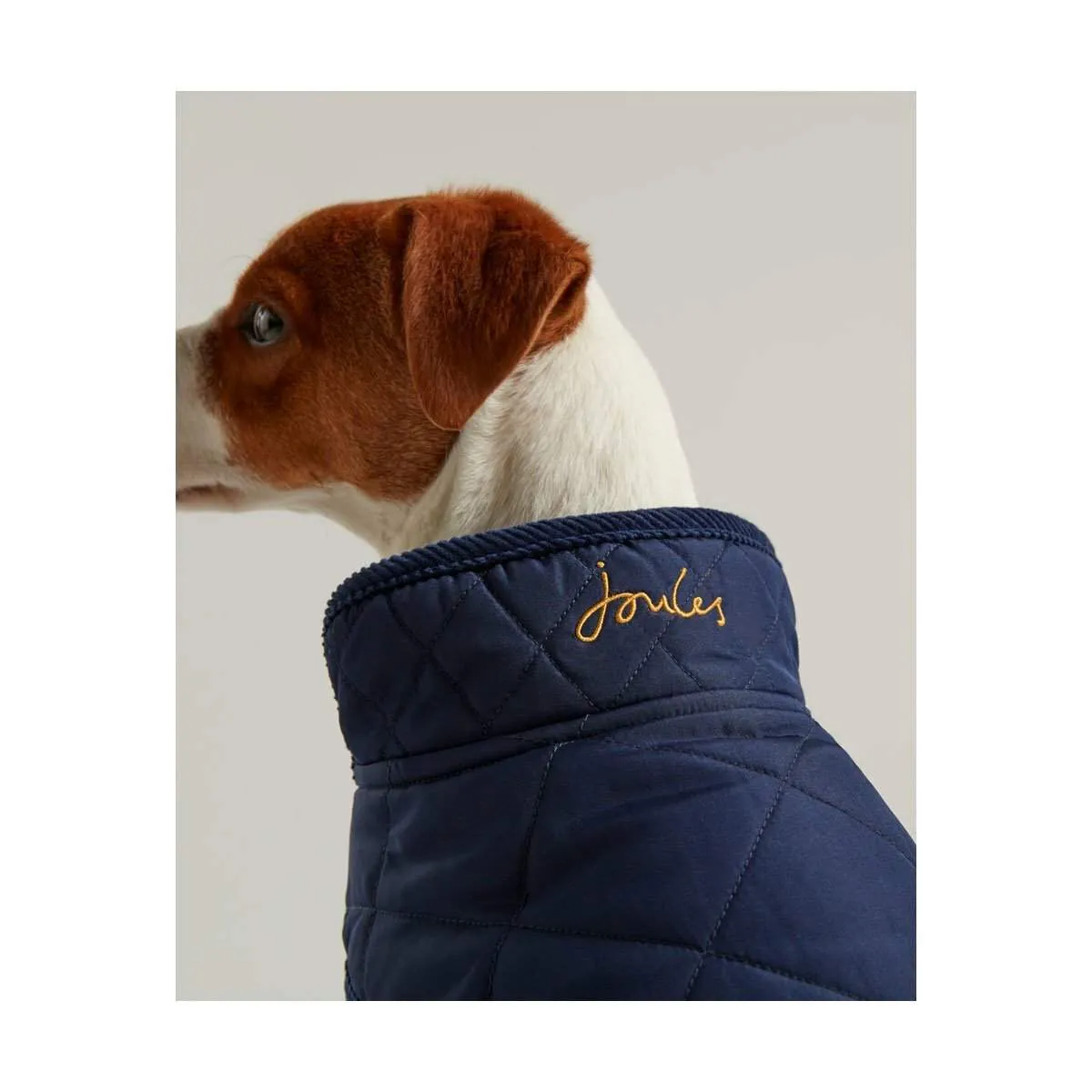 Joules Dog Coat | Elite Saddlery