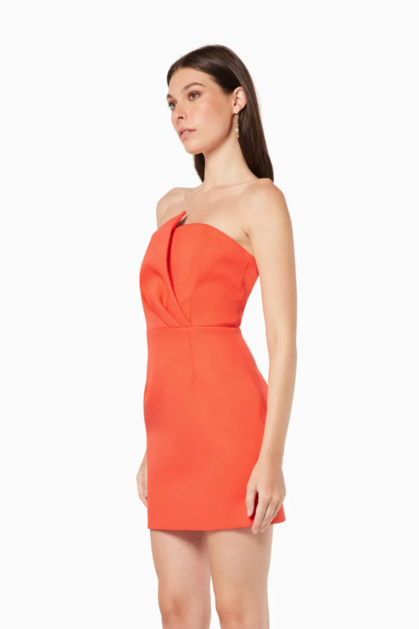 Strapless Dress: The Veida Dress